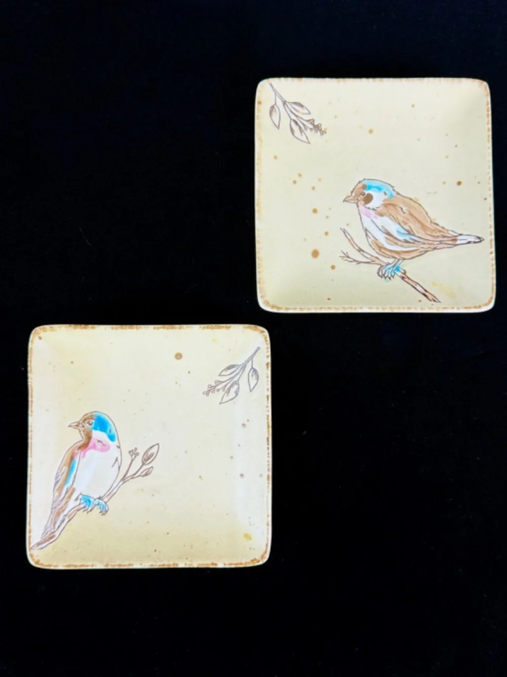 2019 Pair Spectrum Designz 5 in Square Ceramic Plates w Birds Excellent